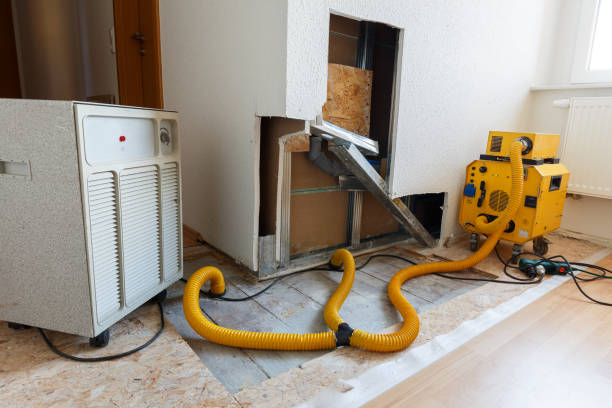 Best HVAC Mold Inspection and Cleaning  in Brewster Heights, NY